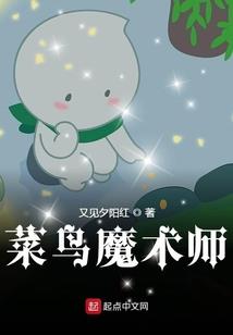 平凡的世界哈佛学长