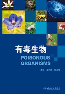 菩萨显身图片