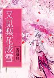 因果奇缘圈关攻略